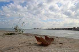 Mare d’Autunno 2021